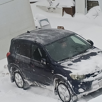 Müüa Toyota Rav4