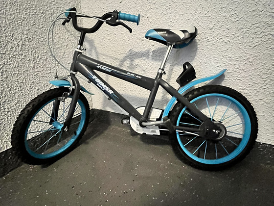 Laste jalgratas 16