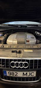 Audi (11 foto / 11)