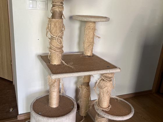 Кошачий домик