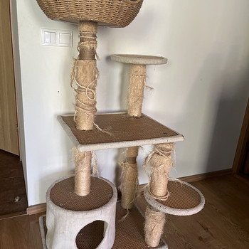 Кошачий домик