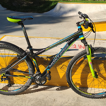 Jalgratas 29", raam 17", MTB