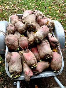SÖÖDAPEET (1 foto / 1)