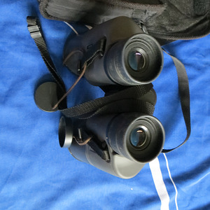 Olympus 10x50 DPS (2 foto / 4)