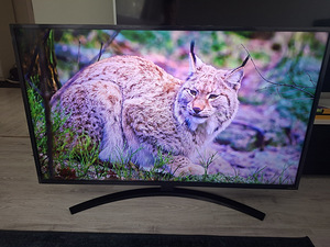 LG NanoCell teler 4K UHD SmartTV (2 foto / 6)
