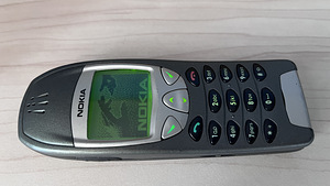 HARULDANE NOKIA 6210 (1 foto / 10)