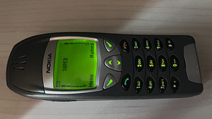 HARULDANE NOKIA 6210 (10 foto / 10)