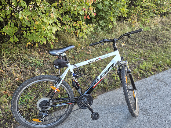 Maastikuratas Leader Wild Cat 26″