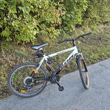 Горный велосипед Leader Wild Cat 26″