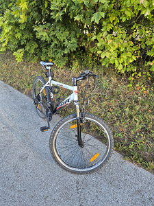 Maastikuratas Leader Wild Cat 26″ (2 foto / 3)