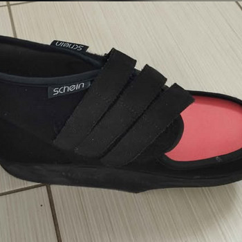 Schein Hallux Valgus