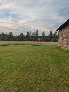 Mäeotsa, Kõnnu, Jõgeva vald, Jõgevamaa (11 фото из 16)