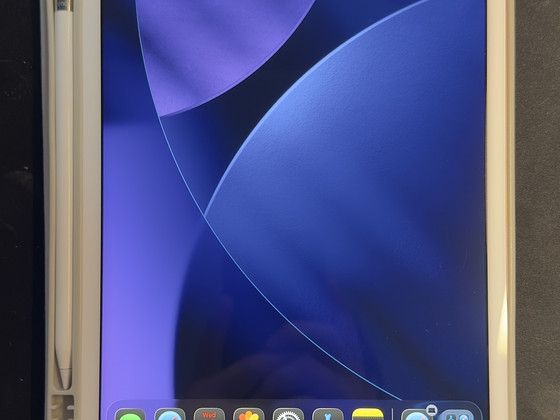 iPad 8-го поколения (2020) + Apple Pencil