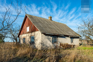 Kopliotsa, Aruküla, Alutaguse vald, Ida-Virumaa (3 foto / 22)
