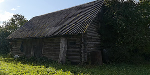 Kopliotsa, Aruküla, Alutaguse vald, Ida-Virumaa (21 foto / 22)