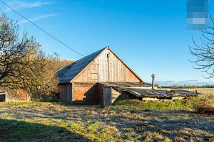 Kopliotsa, Aruküla, Alutaguse vald, Ida-Virumaa (13 foto / 22)