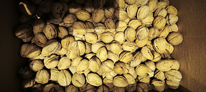 Kreeka pähklid Moldova 4 kg (2 foto / 2)