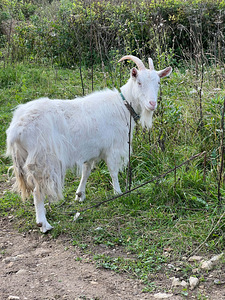 Ära anda kits (1 foto / 1)