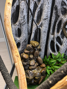 Exo Terra Terrarium 60×45×90 cm – Full Setup (3 foto / 5)