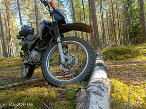 Honda xr 125 (5 фото из 5)
