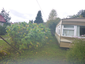 Võidu vkt 22, Vikipalu, Anija vald, Harjumaa (18 foto / 19)