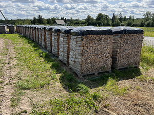 KUIVAD KÜTTEPUUD TALLINNAS JA LÄHIÜMBRUSES (4 foto / 8)