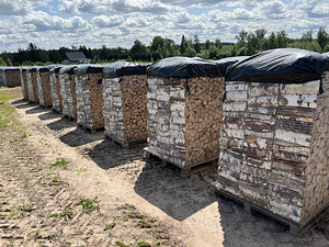 KUIVAD KÜTTEPUUD TALLINNAS JA LÄHIÜMBRUSES (8 foto / 8)