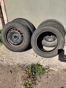 3velge koos naastrehvidega(4) (1 foto / 3)