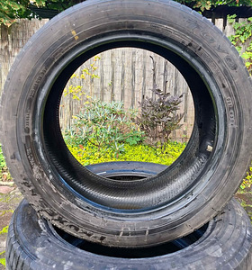 SUVEREHVID 225/55R19 TOYO SUV JAPAN (1 foto / 3)