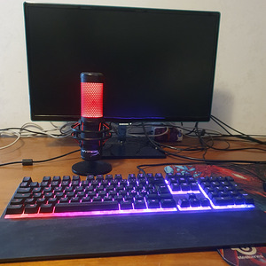 Täielik gaming setup – arvuti, monitor, HyperX + SteelSeries (1 foto / 3)