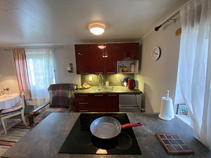 Heina tn, Pähklimäe, Narva, Ida-Virumaa (7 foto / 42)