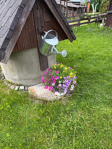 Heina tn, Pähklimäe, Narva, Ida-Virumaa (19 foto / 42)