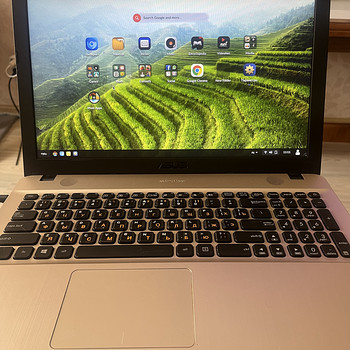 Ноутбук ASUS 4/500 ГБ для фильмов и интернета (Endless OS)