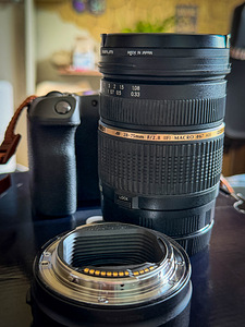 Canon R + Tamron 28-75mm /f2,8-адаптер (3 фото из 10)