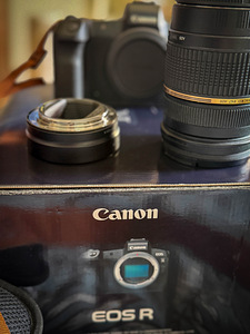 Canon R + Tamron 28-75mm /f2,8-адаптер (9 фото из 10)