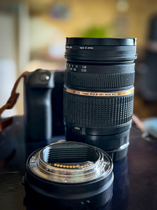 Canon R + Tamron 28-75mm /f2,8-адаптер (10 фото из 10)