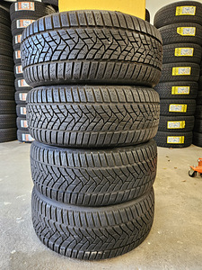225 50 R 17 Dunlop Winter Sport 5 (1 foto / 4)