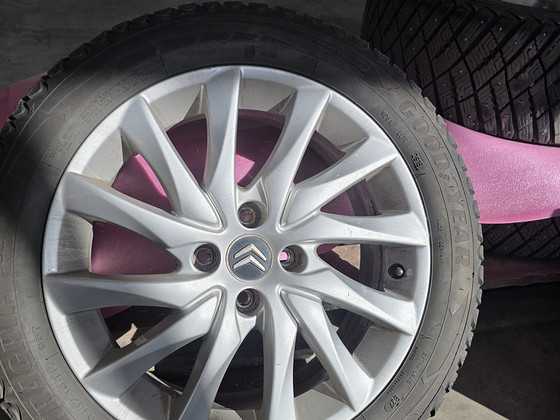 Citroëni veljed