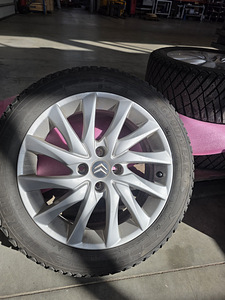 Citroëni veljed (1 foto / 8)