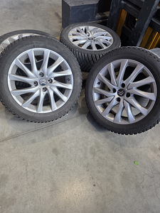 Citroëni veljed (4 foto / 8)