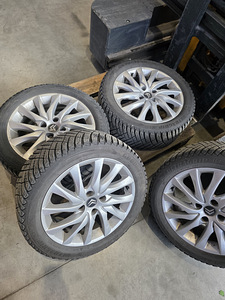 Citroëni veljed (3 foto / 8)