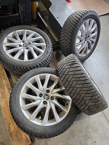 Citroëni veljed (5 foto / 8)