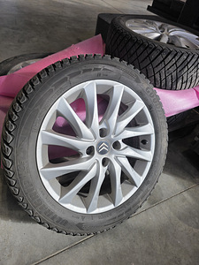 Citroëni veljed (8 foto / 8)
