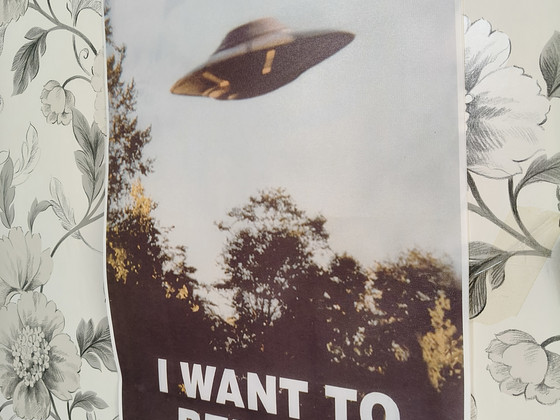 Постер «I Want to Believe»