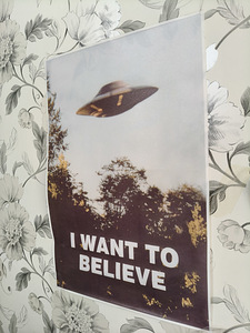 Plakat «I Want to Believe» (1 foto / 2)