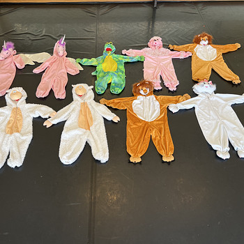 Детские костюмы на тему разных животных