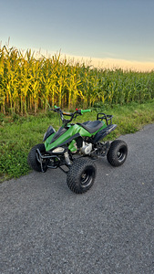 Laste Atv 125cc 4t (2 foto / 8)
