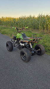 Laste Atv 125cc 4t (8 foto / 8)