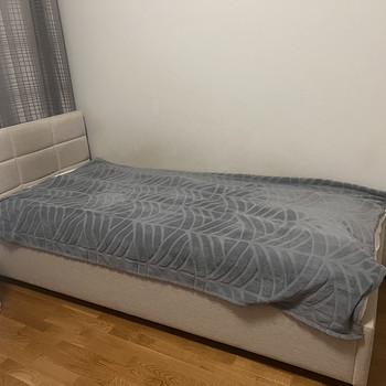 Кровать кушетка