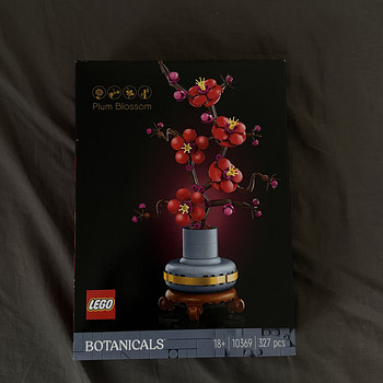 LEGO Jaapani stiilis lilledega puu, LEGO puu Jaapani stiilis